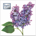 Салфетка 3-сл. 24*24 25л Bouquet de Luxe Сирень /15пач*кор/37443 НОВИНКА