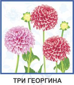 Салфетка 1-сл. 24*24   40л  Desna Design  Три георгина /32уп*кор/57460