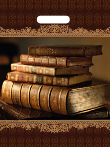 Пакет с выруб. руч. 31х40 (60) (Тико) ламинат Книги NEW /500/