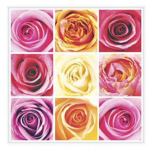 Салфетка 3-сл. 33*33  20л Bouquet Home Collection Classic  Коллаж из роз /12пач*кор/42314