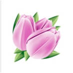 Салфетка 1-сл. 24*24   40л  Desna Design  Тюльпаны  /32уп*кор/57590