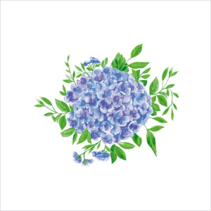 Салфетка 2-сл. 20*20   30л Art Bouquet Голубая гортензия /26пач*кор/57614