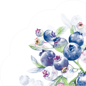 Салфетка 3-сл. 33*33  12л Art Bouquet Rondo Черника /15пач*кор/25362