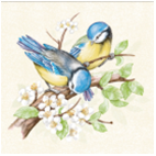 Салфетка 3-сл. 33*33 20л Bouquet Home Collection Classic Птички-Синички/12пач*кор/57753
