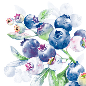 Салфетка 3-сл. 33*33  20л Bouquet Home Collection Classic  Черника/12пач*кор/25369
