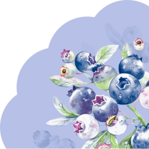 Салфетка 3-сл. 33*33  12л Art Bouquet Rondo Черника. Голубой фон /15пач*кор/25393